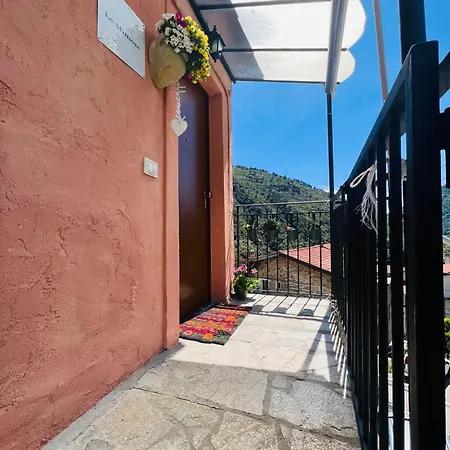 Le Mimose * Ventimiglia