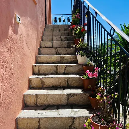 Le Mimose * Ventimiglia