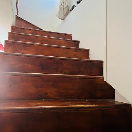 Le Mimose Daire Ventimiglia